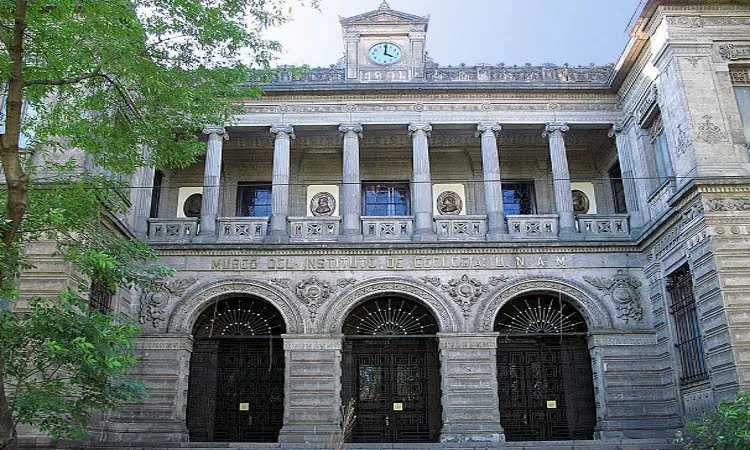 Museo